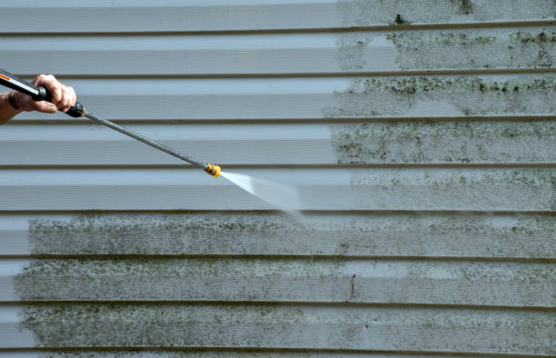 Pressure Washing Services for Businesses in Collins, MS